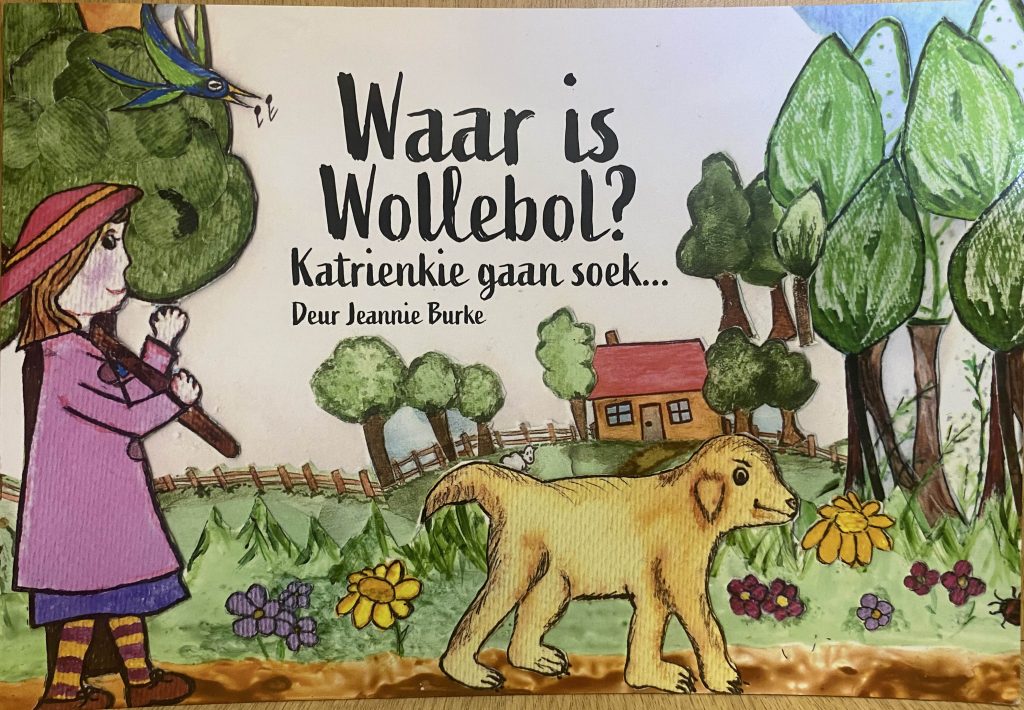 Waar is wollebol?