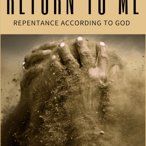Return to Me front cover