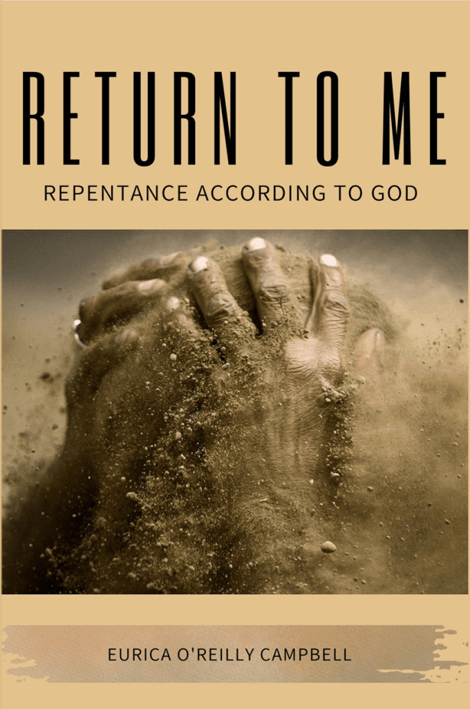 Return to Me front cover