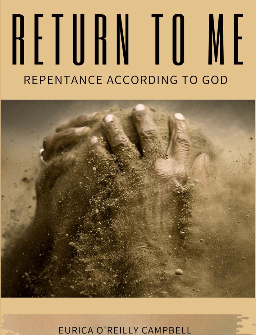 Return to Me front cover